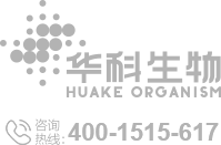 &#20048;&#40060;&#25163;&#26426;&#30331;&#24405;&#20837;&#21475;&#45;&#20048;&#40060;&#65288;&#20013;&#22269;&#65289;